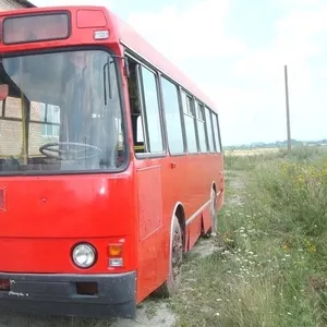 Автобус ЛАЗ 42021