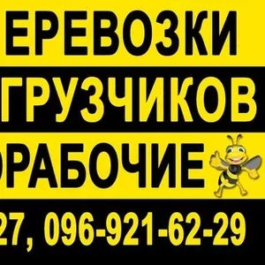 Услуги по Хозяйству и Строительству