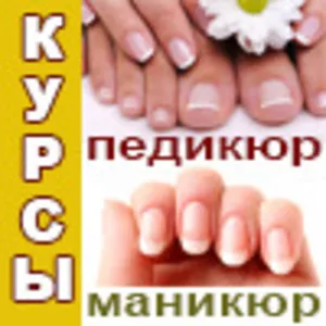 Курсы 