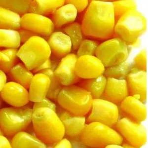 Кукуруза  купим