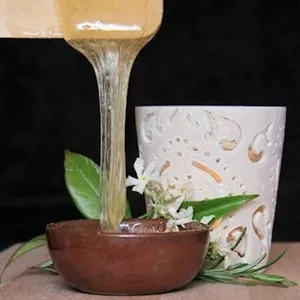 Спешите посетить Курсы Депиляции в Николаеве