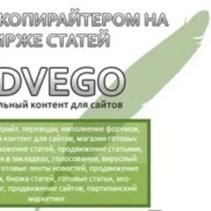 Заработок на дому без вложений