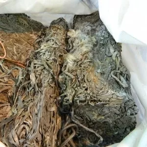 Прием отходов кусковых свинца сурьмянистого от производства кабельн