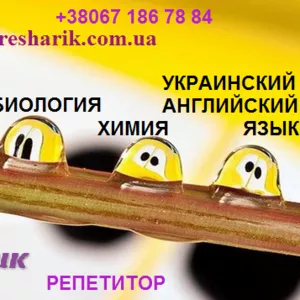 Подготовка к ЗНО. Репетитор. РЕШАРИК