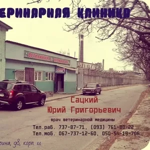 Косметические операции — купирование хвоста и ушных раковин.