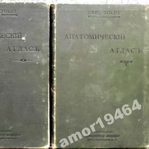 Анатомический атлас для студентов и врачей. Выпуск 4, 5 и 6.1913 г