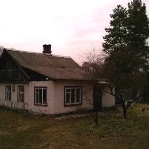 Дом-дача в сосновом лесу! с.Курортное. Торг уместен!