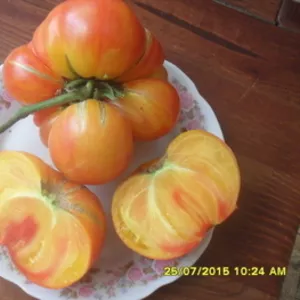 Продам семена коллекционных томатов.