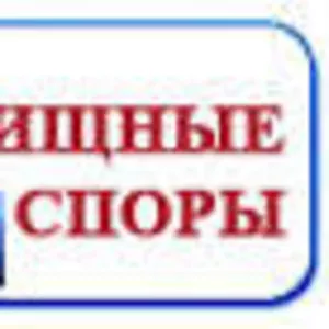 Успешная юридическая помощь по спорам с недвижимостью и землей.