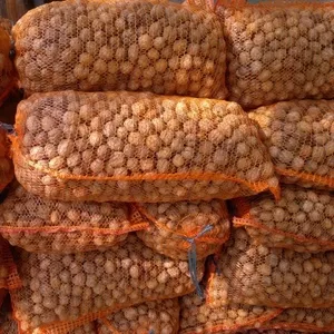 Орех грецкий (кругляк)