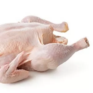 Оптом замороженное мясо птицы