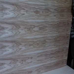 Полноформатные Шпонированные плиты: ДВП,  ДСП,  МДФ, фанера влагостойка