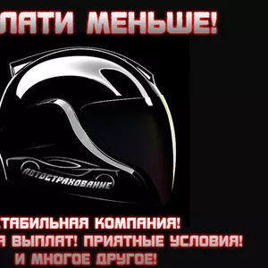 Все виды Автострахования. Киев и область. ОСАГО и т.д.