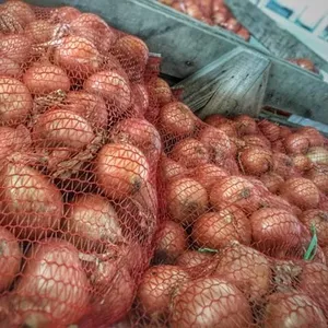 Продам лук