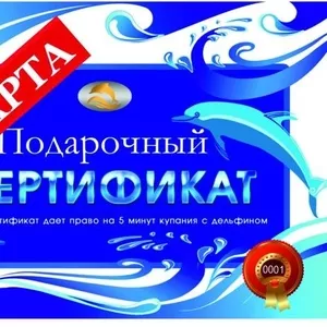 подарок на День рождения: Сертификат на купание с дельфином