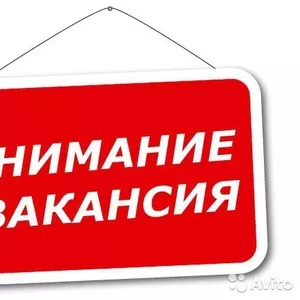 Менеджер по рекламе на удалении 