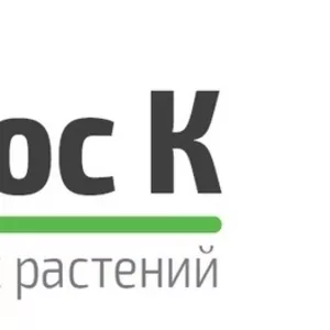 Водные и окловодные растения. Эксклюзив.