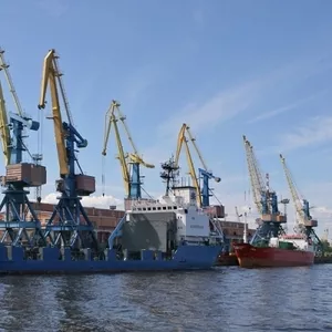 Услуги перевалки