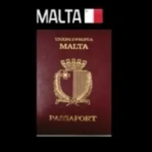 Визы  на Мальту!