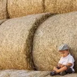 Срочно куплю сено люцерны