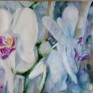 картины акварель цветы лилия орхидея маки анютыны глазки и другие 