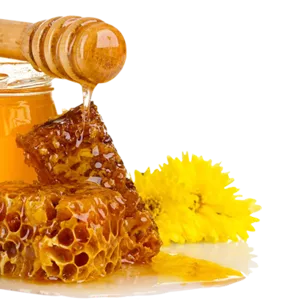 майский мед 2016
