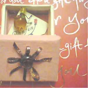 Броши:паучок из янтаря,  гномик со стразами,  в подарочных коробочках