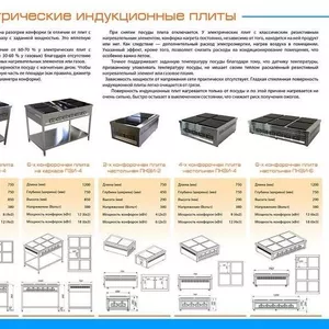 Электрические Индукционные плиты