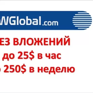 Американская компания THW GLOBAL ведет набор сотрудников