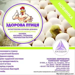 Антистрессовая кормовая добавка ЗДОРОВА ПТИЦЯ