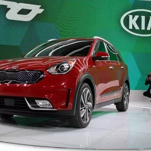 ШОК! Внедорожник KIA Niro уже в Украине