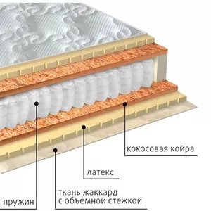 Статус Латекс Плюс - Лучший из лучших