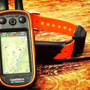 Garmin Alpha,  Astro. Прошивка,  разблокировка,  карты. Удаленно. 