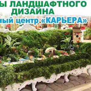 Курс «Ландшафтный дизайн» Обращайтесь Запорожье