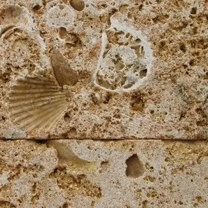 Ракушечник с карьера без посредников