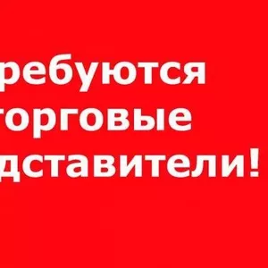 Требуются торговые представители на постоянную работу