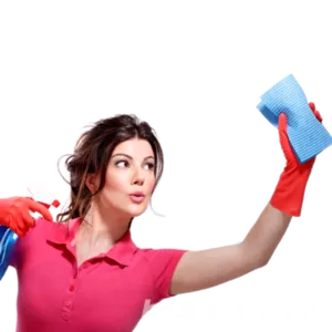 Помощь по хозяйству,  уборка