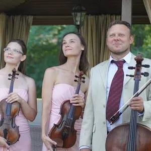 Музыканты на свадьбу