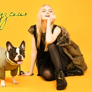 Одежда для собак французский бульдог и крупных пород – ТМ DOGGO