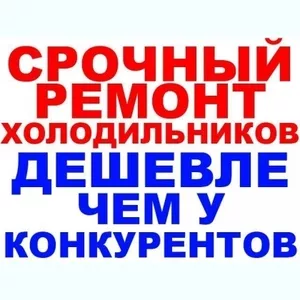 Ремонт холодильника, Вышгород, Лютеж, Петровцы Старые, Хотяновка, Дубечня