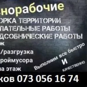 Предоставим разнорабочих