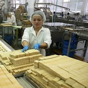 Робота для чоловіків і жінок в Польщі