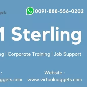 IBM Sterling B2B Online Training