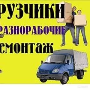 Разнорабочие, грузчики , уборка территории , вывоз мусора