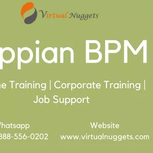 Appian BPM Online Training Institution