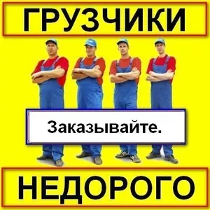 Бригада грузчиков,  не дорого!