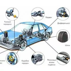 Большой выбор автозапчастей для автомобилей и сельхозтехники