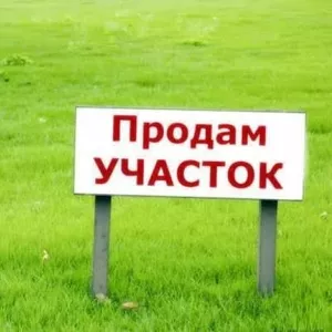 Продам свой участок в Бориспольском районе