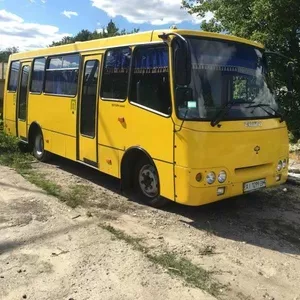 Аренда,  заказ автобуса Богдан. Развозка,  трансфер,  пас. перевозки