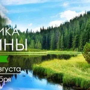 Курс 